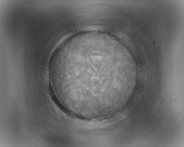 X0000066930016200603241128