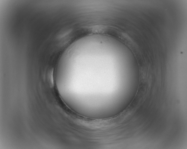 X0000066930028200603241128