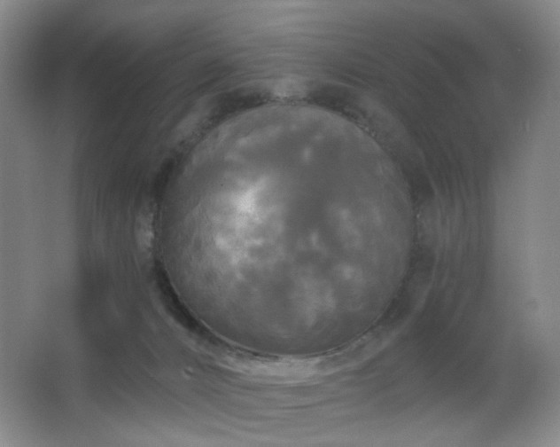 X0000066930032200603241128
