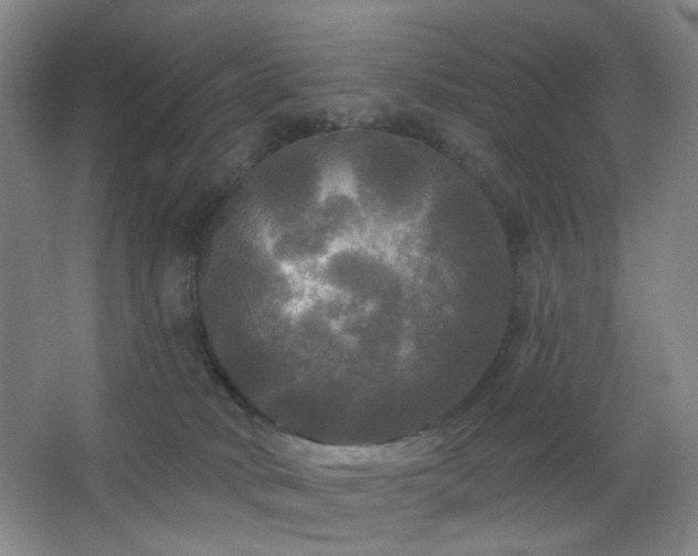 X0000066930034200603241128