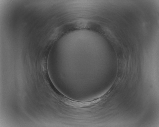 X0000066930035200603241127