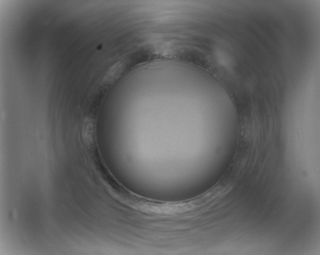X0000066930036200603241127