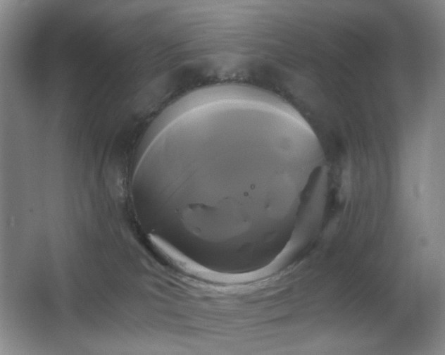 X0000066930039200603241127