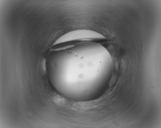 X0000066930041200603241127