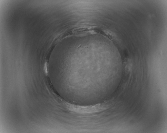 X0000066930042200603241127