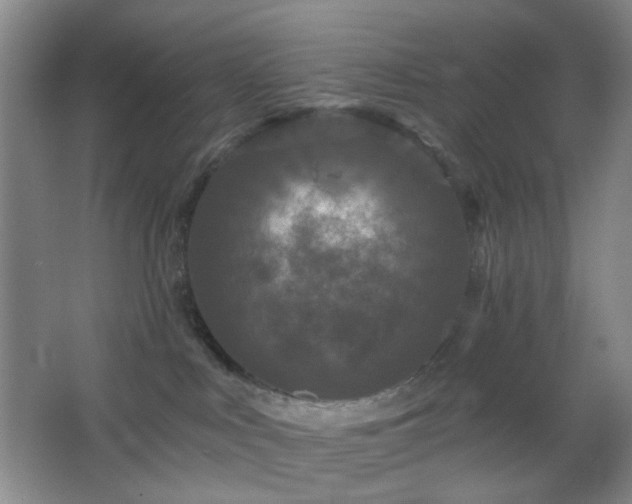 X0000066930043200603241127