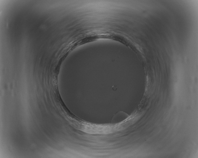 X0000066930048200603241127