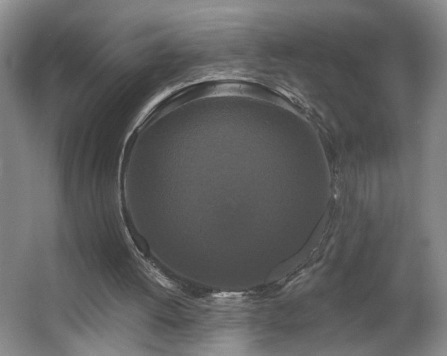 X0000066930052200603241127