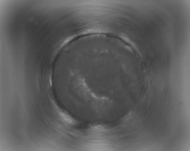 X0000066930062200603241127