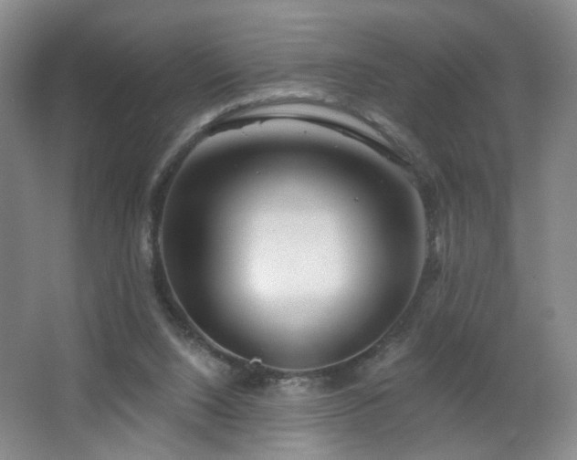 X0000066930064200603241127