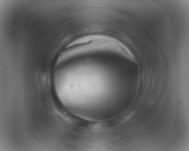 X0000066930072200603241127