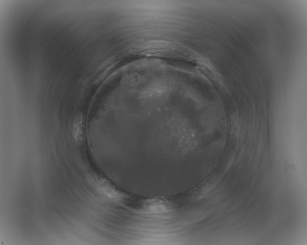 X0000066930073200603241127
