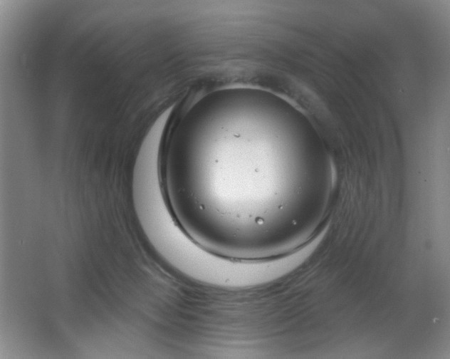 X0000066930077200603241127