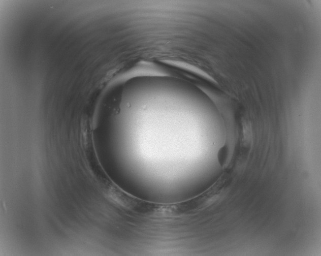 X0000066930080200603241127