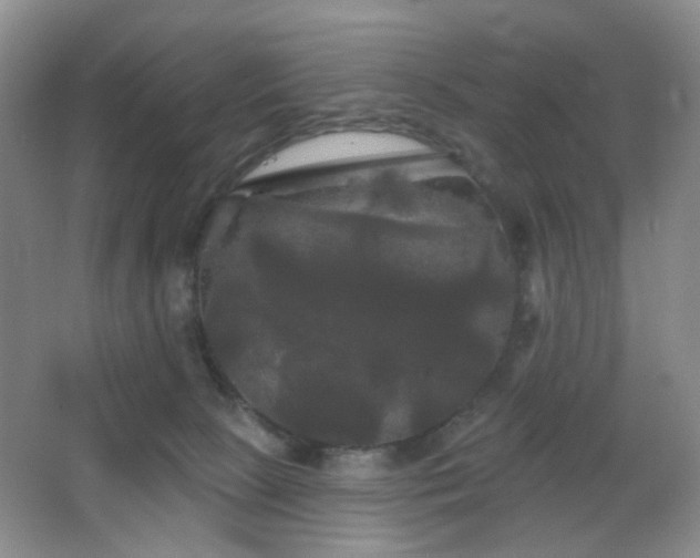 X0000066930081200603241127