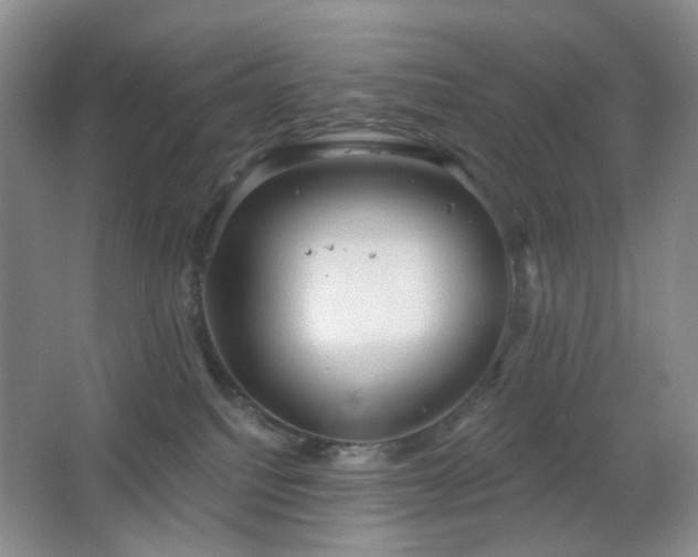 X0000066930088200603241127