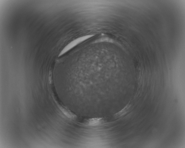 X0000066930090200603241127
