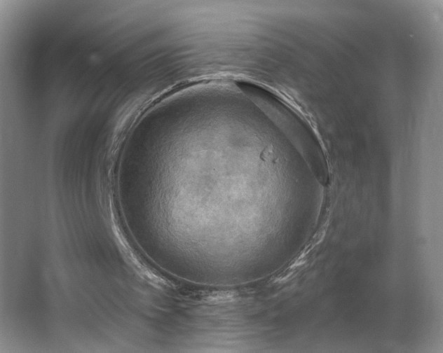 X0000066930097200603241126