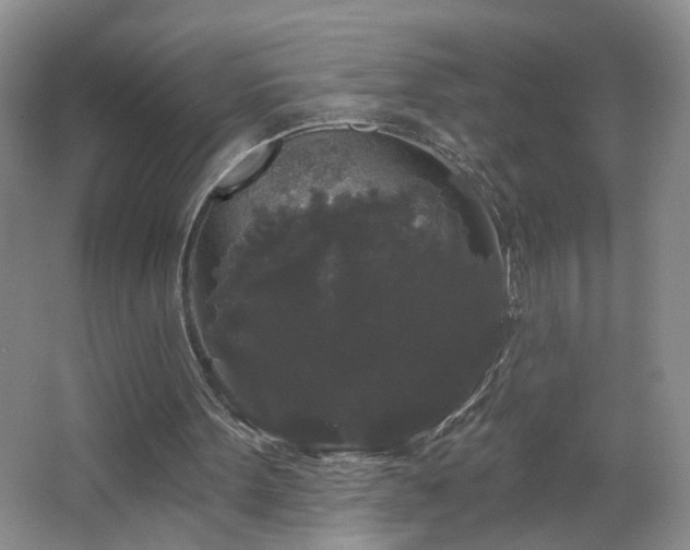 X0000066930099200603241126