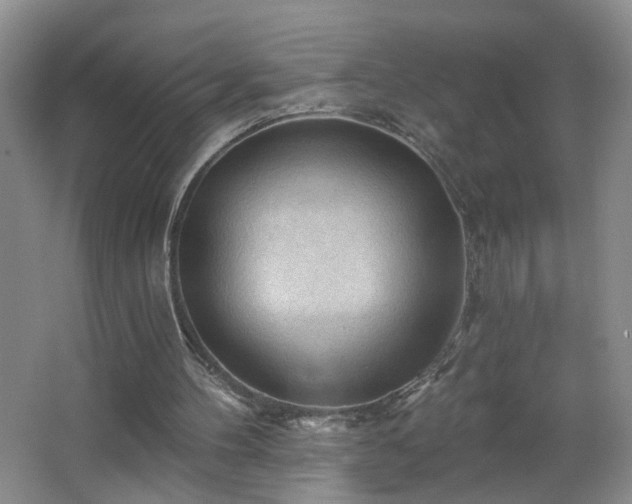 X0000066930100200603241126