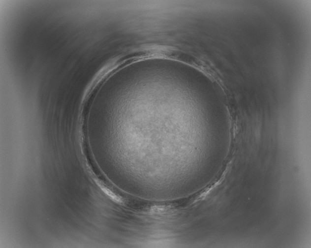 X0000066930101200603241126