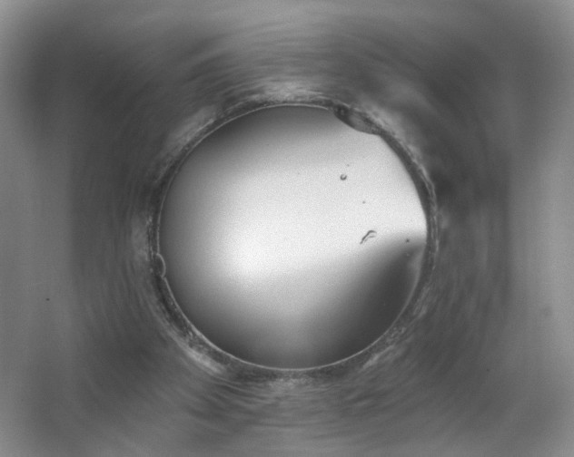 X0000066930105200603241126