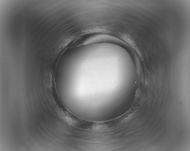 X0000066930109200603241126