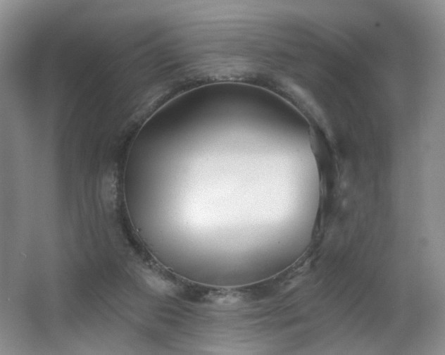 X0000066930113200603241126