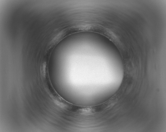 X0000066930118200603241126