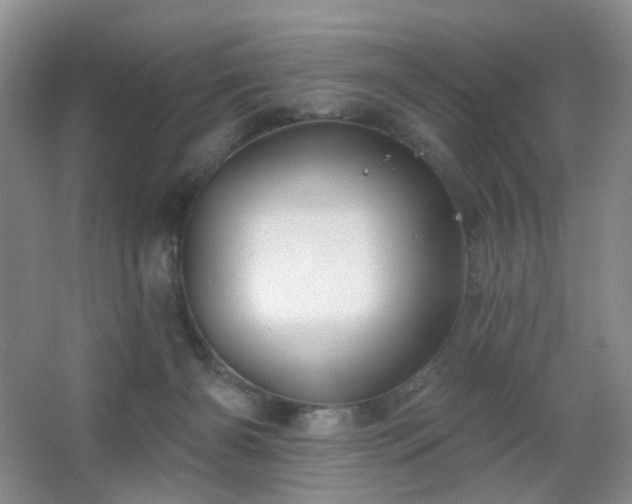 X0000066930126200603241126