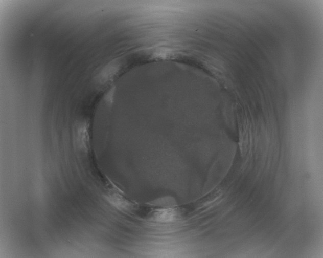 X0000066930127200603241126
