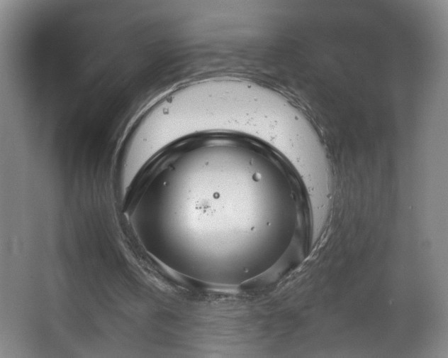 X0000066930146200603241125