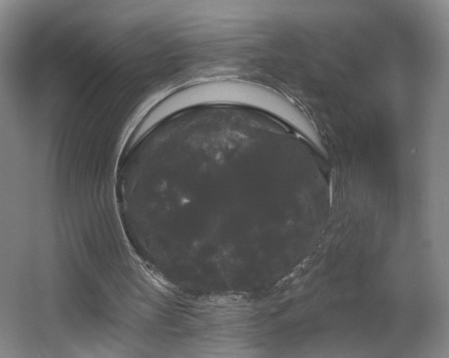X0000066930147200603241125
