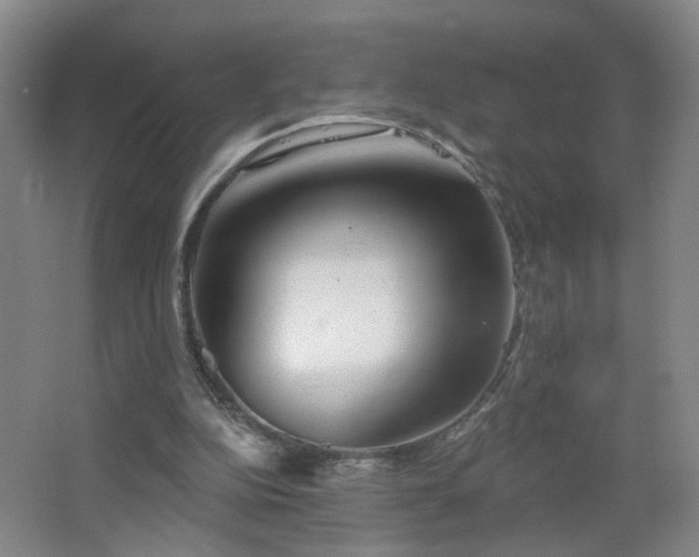 X0000066930152200603241125