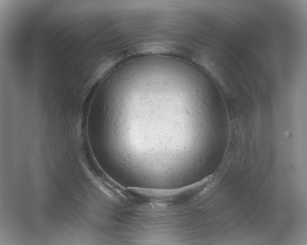 X0000066930159200603241125