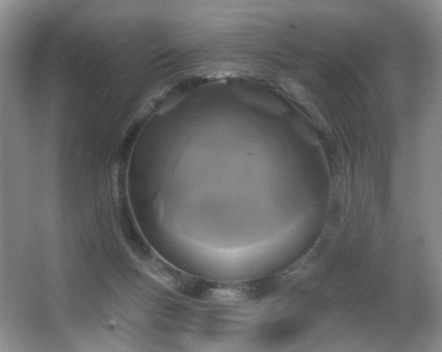 X0000066930167200603241125
