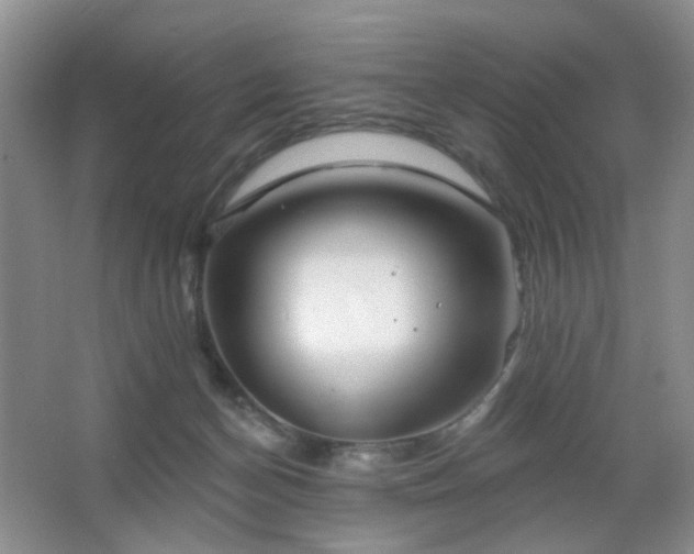 X0000066930174200603241125
