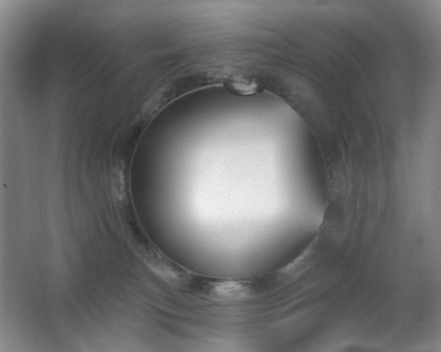X0000066930183200603241125