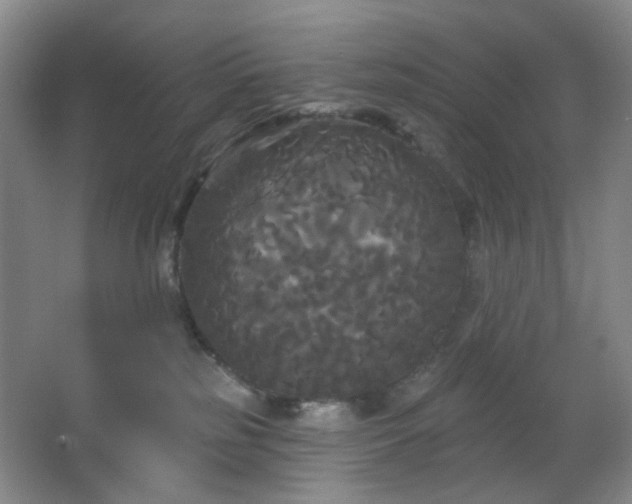 X0000066930185200603241126