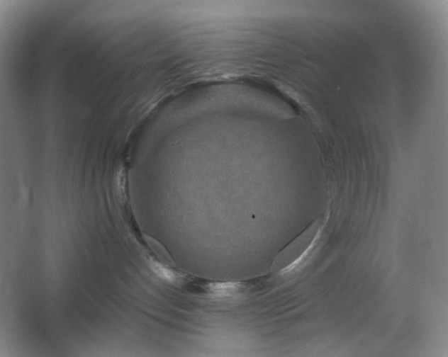 X0000066930192200603241126