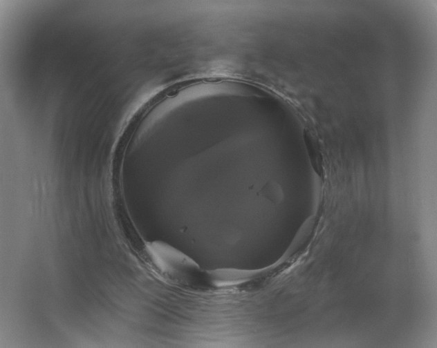 X0000066930200200603241125