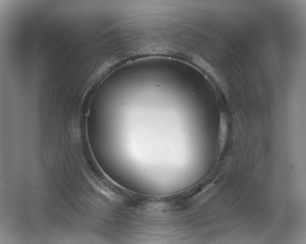 X0000066930203200603241125
