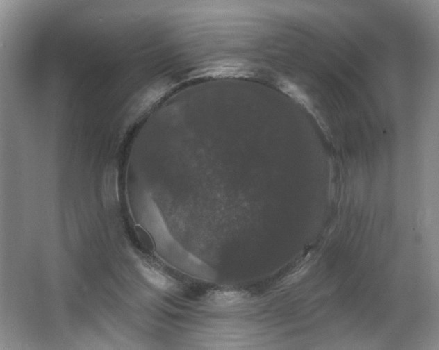 X0000066930205200603241125