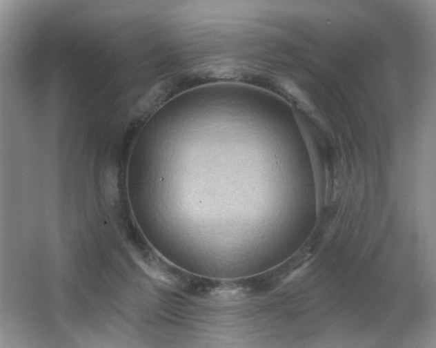 X0000066930213200603241124