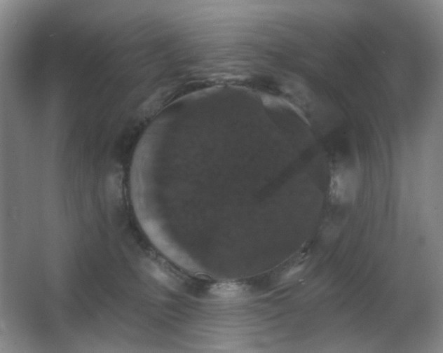 X0000066930231200603241124