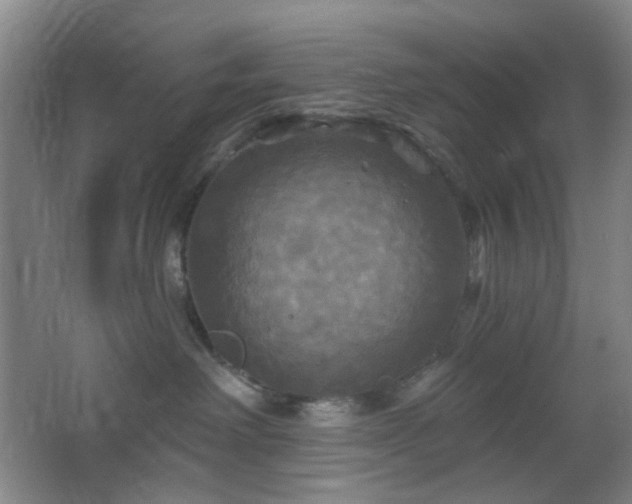 X0000066930238200603241124