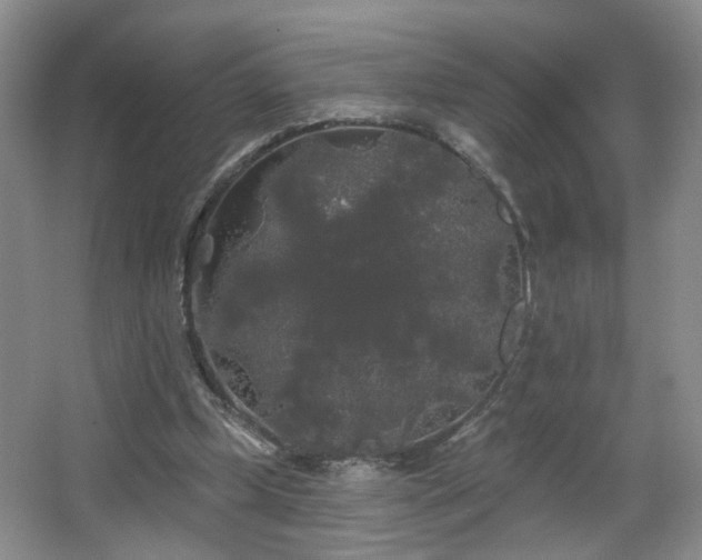 X0000066930249200603241123