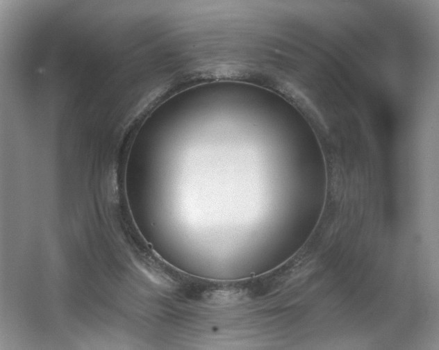 X0000066930251200603241123