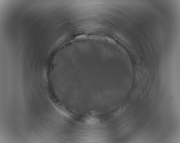 X0000066930258200603241123