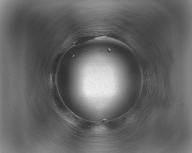 X0000066930262200603241124